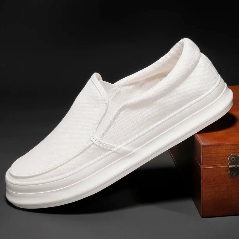 Elegantes zapatillas de lona