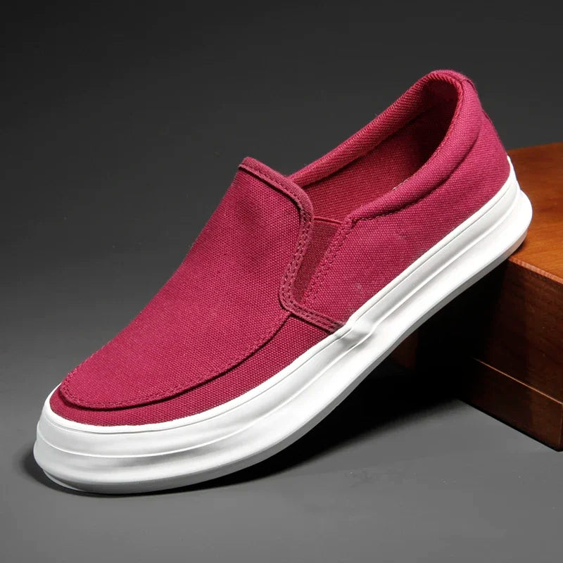 Elegantes zapatillas de lona